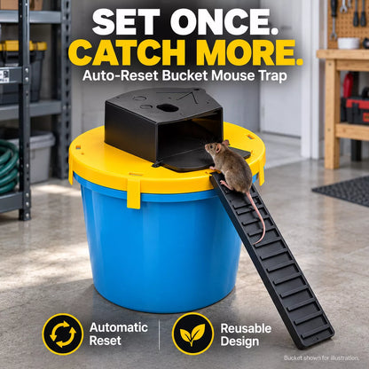Auto-Reset Multi-Catch Mouse Trap – Reusable, No Batteries Needed
